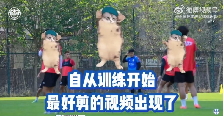 一定要看到最后的功夫訓(xùn)練視頻