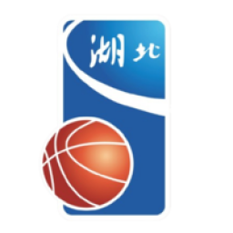 湖北全運女籃logo